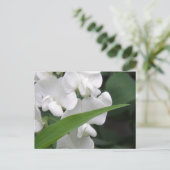 Briefkaart van zoete peuzenbloemen (Staand voorkant)