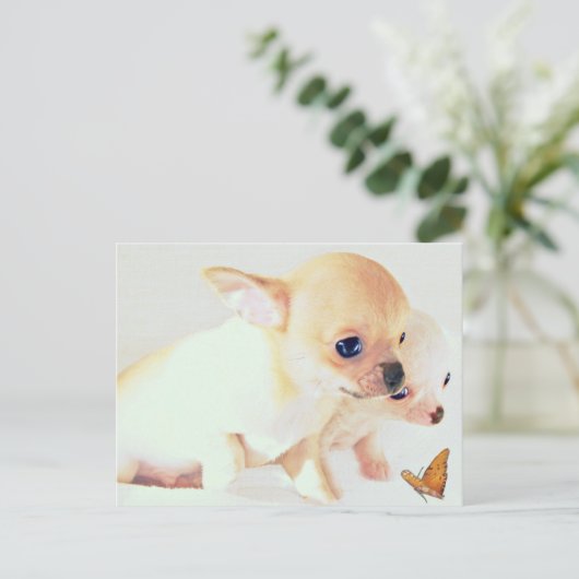 Briefkaart van zoete puppies (Staand voorkant)