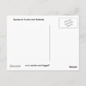 Briefkaart van zoete vlinder (Achterkant)