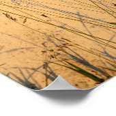 Briefkaart van zomergrassen en schaduwen poster (Hoek)