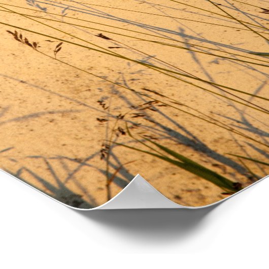 Briefkaart van zomergrassen en schaduwen poster (Hoek)