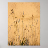 Briefkaart van zomergrassen en schaduwen poster (Voorkant)
