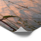 Briefkaart van zomergrassen en schaduwen poster (Hoek)