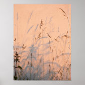 Briefkaart van zomergrassen en schaduwen poster (Voorkant)