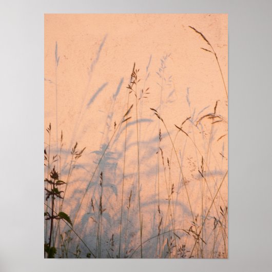 Briefkaart van zomergrassen en schaduwen poster (Voorkant)