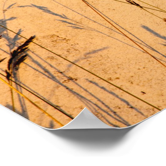 Briefkaart van zomergrassen en schaduwen poster (Hoek)