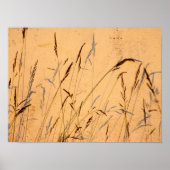 Briefkaart van zomergrassen en schaduwen poster (Voorkant)