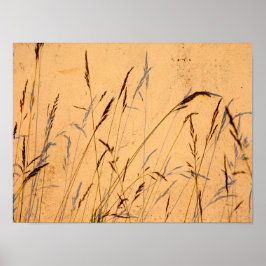 Briefkaart van zomergrassen en schaduwen poster