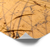 Briefkaart van zomergrassen en schaduwen poster (Hoek)