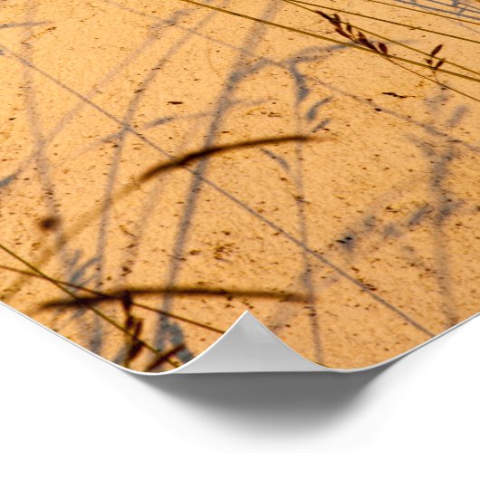 Briefkaart van zomergrassen en schaduwen poster (Hoek)