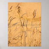 Briefkaart van zomergrassen en schaduwen poster (Voorkant)