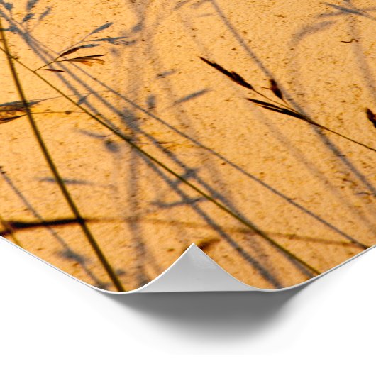 Briefkaart van zomergrassen en schaduwen poster (Hoek)