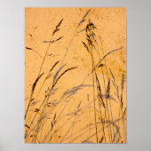 Briefkaart van zomergrassen en schaduwen poster (Voorkant)