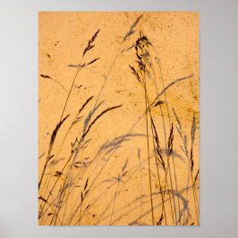 Briefkaart van zomergrassen en schaduwen poster