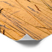 Briefkaart van zomergrassen en schaduwen poster (Hoek)