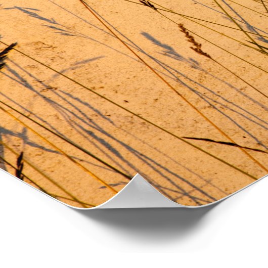 Briefkaart van zomergrassen en schaduwen poster (Hoek)