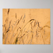 Briefkaart van zomergrassen en schaduwen poster (Voorkant)