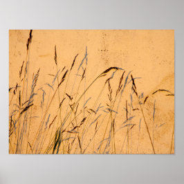 Briefkaart van zomergrassen en schaduwen poster