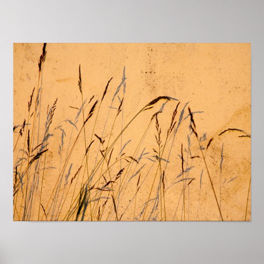 Briefkaart van zomergrassen en schaduwen poster (Voorkant)