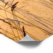 Briefkaart van zomergrassen en schaduwen poster (Hoek)