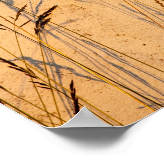 Briefkaart van zomergrassen en schaduwen poster (Hoek)