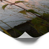 Briefkaart van zomergrassen en schaduwen poster (Hoek)