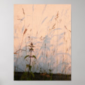 Briefkaart van zomergrassen en schaduwen poster (Voorkant)