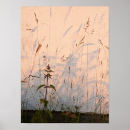 Briefkaart van zomergrassen en schaduwen poster