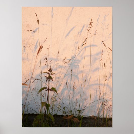 Briefkaart van zomergrassen en schaduwen poster (Voorkant)