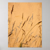 Briefkaart van zomergrassen en schaduwen poster (Voorkant)