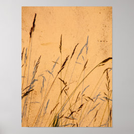 Briefkaart van zomergrassen en schaduwen poster