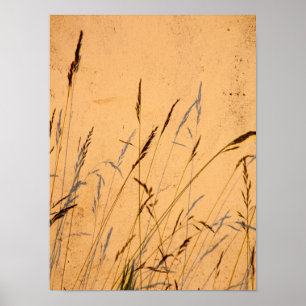 Briefkaart van zomergrassen en schaduwen poster