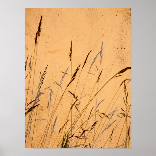 Briefkaart van zomergrassen en schaduwen poster (Voorkant)