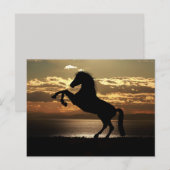 briefkaart van zonnepaarden (Voorkant / Achterkant)