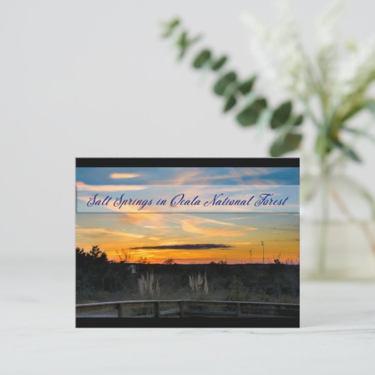 Briefkaart van zout Springs (Staand voorkant)