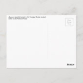 Briefkaart van zout Springs (Achterkant)