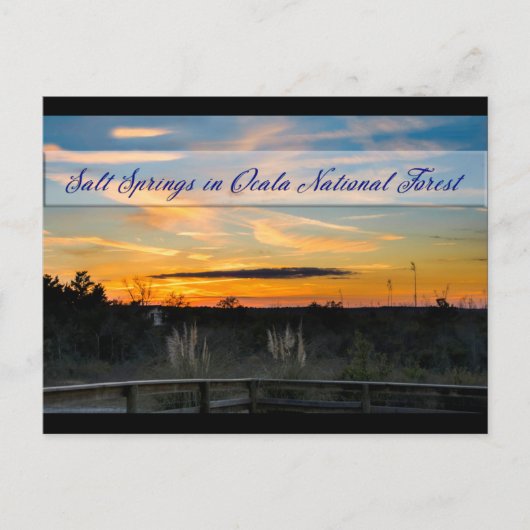 Briefkaart van zout Springs (Voorkant)