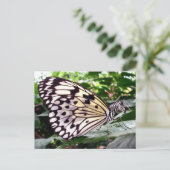 Briefkaart van Zutterfly (Staand voorkant)