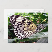 Briefkaart van Zutterfly (Voorkant / Achterkant)