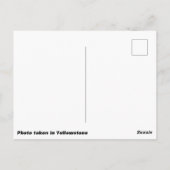 Briefkaart van zwarte beer kub (Achterkant)
