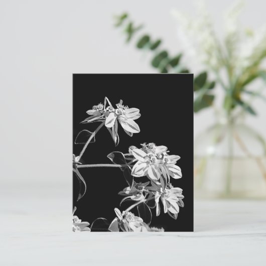 Briefkaart van zwarte en witte bloemen (Staand voorkant)