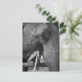 Briefkaart van zwarte en witte olifant (Staand voorkant)