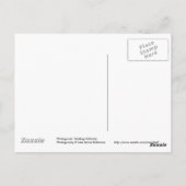 Briefkaart van zwarte en witte paarden (Achterkant)