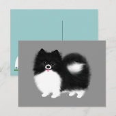 Briefkaart van zwarte en witte pommeren (Voorkant / Achterkant)