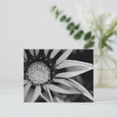 Briefkaart van zwarte en witte wilde bloemen (Staand voorkant)