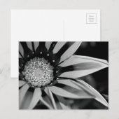 Briefkaart van zwarte en witte wilde bloemen (Voorkant / Achterkant)