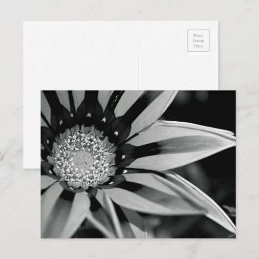 Briefkaart van zwarte en witte wilde bloemen (Voorkant / Achterkant)