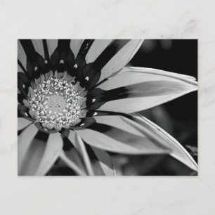 Briefkaart van zwarte en witte wilde bloemen
