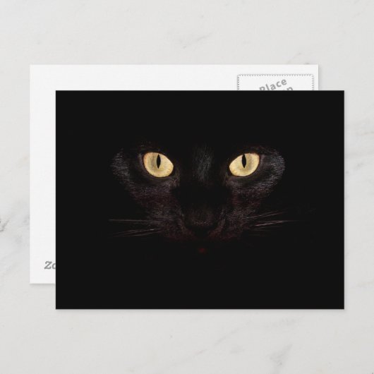 briefkaart van zwarte katten (Voorkant / Achterkant)