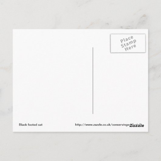 Briefkaart van zwarte katten (Achterkant)